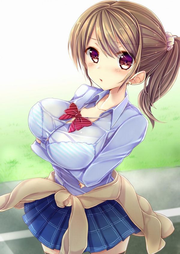 【二次】乳袋画像まとめ３_21